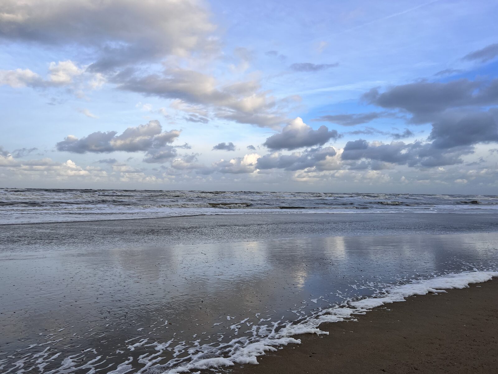 Nieuwjaarsduik