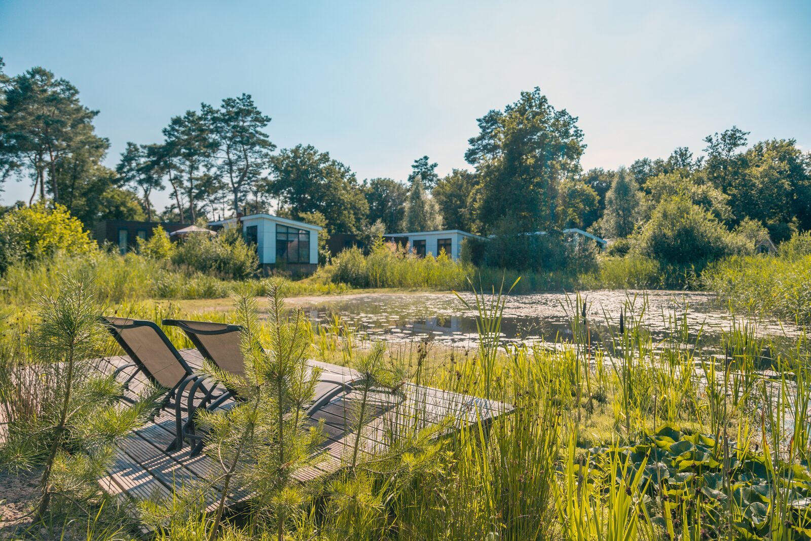 Vakantiepark Reestervallei