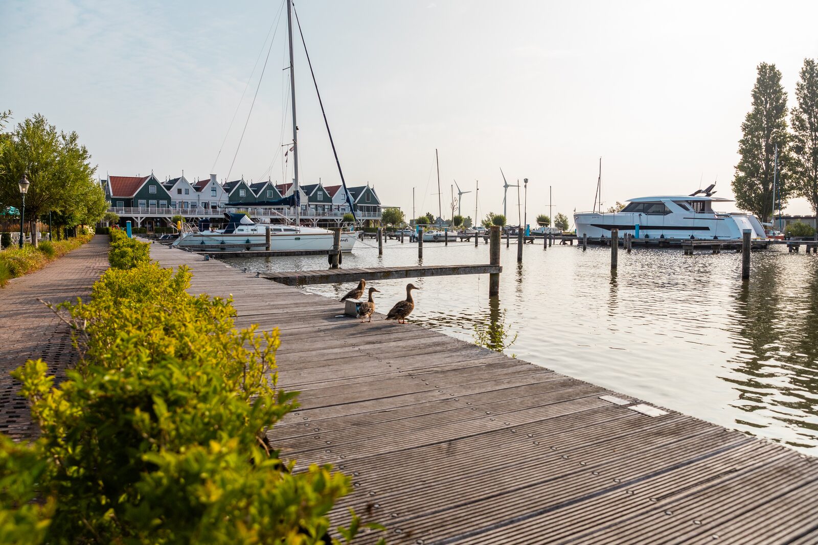 Jachthaven