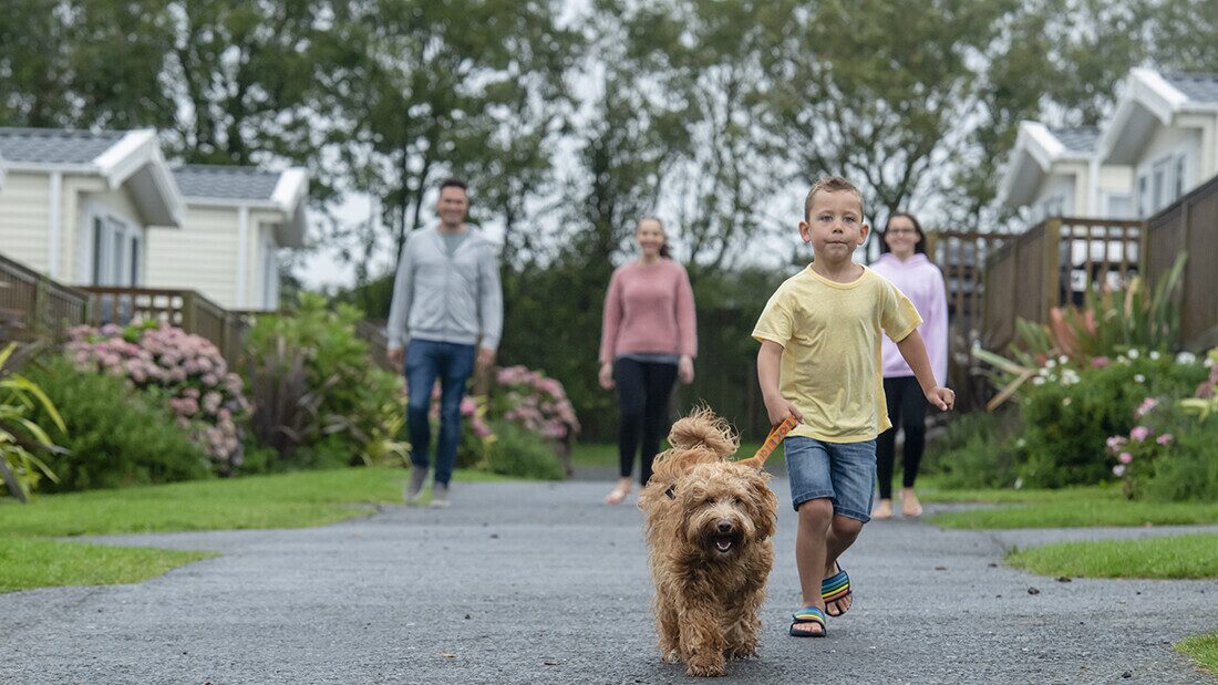 Dog friendly caravan accommodation in Woolacombe