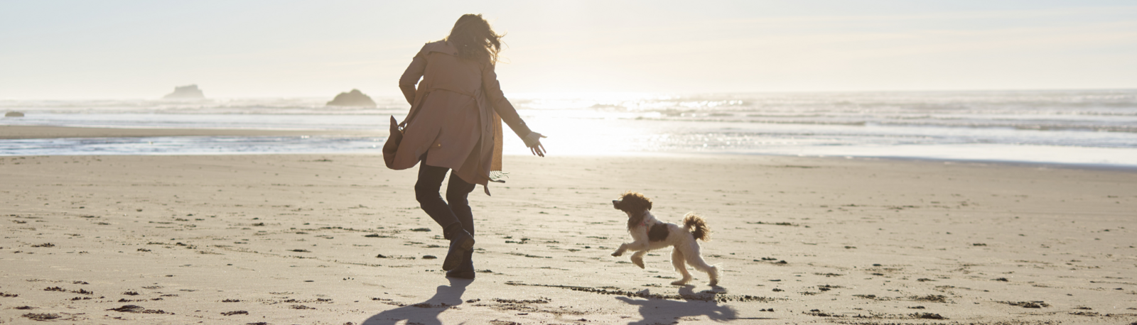 Met je hond op vakantie? Welkom bij Floreal Holidays!