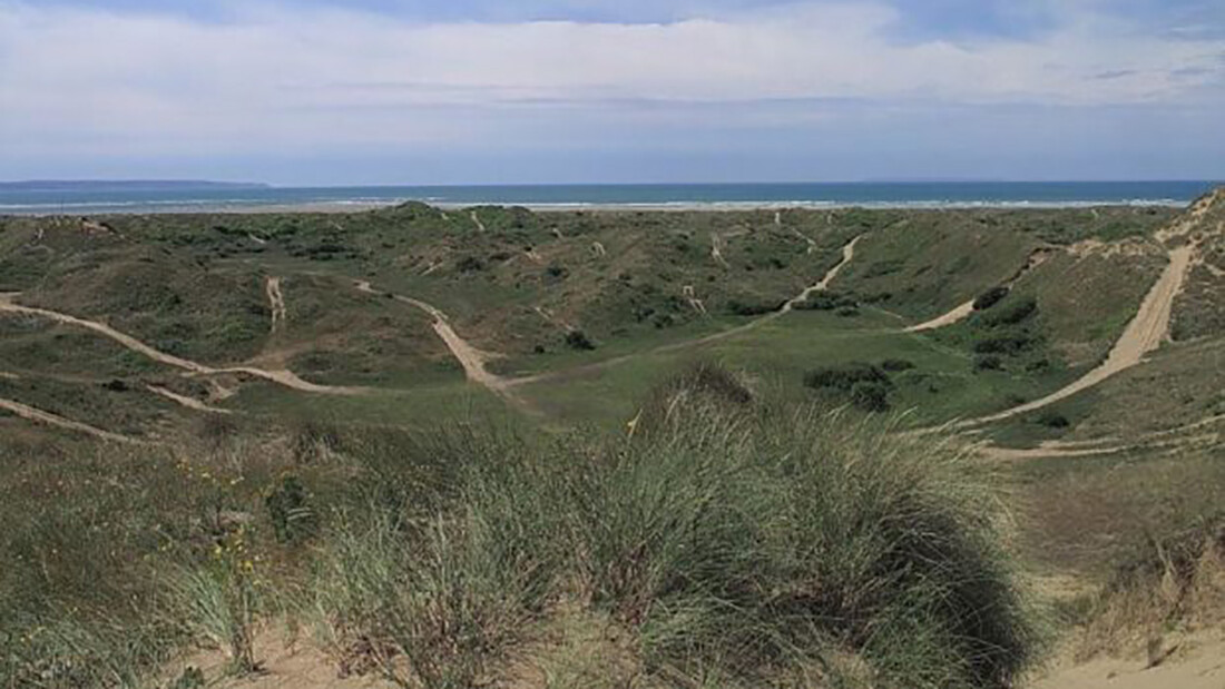 Braunton Burrows Beach