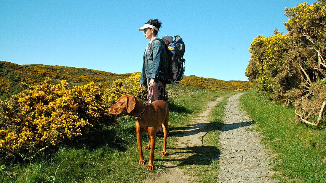 Walking trail to Bennett's Mouth