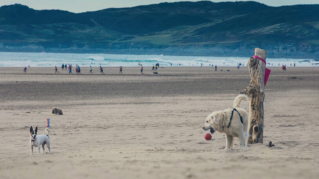 Summer days on Woolacombe Beach