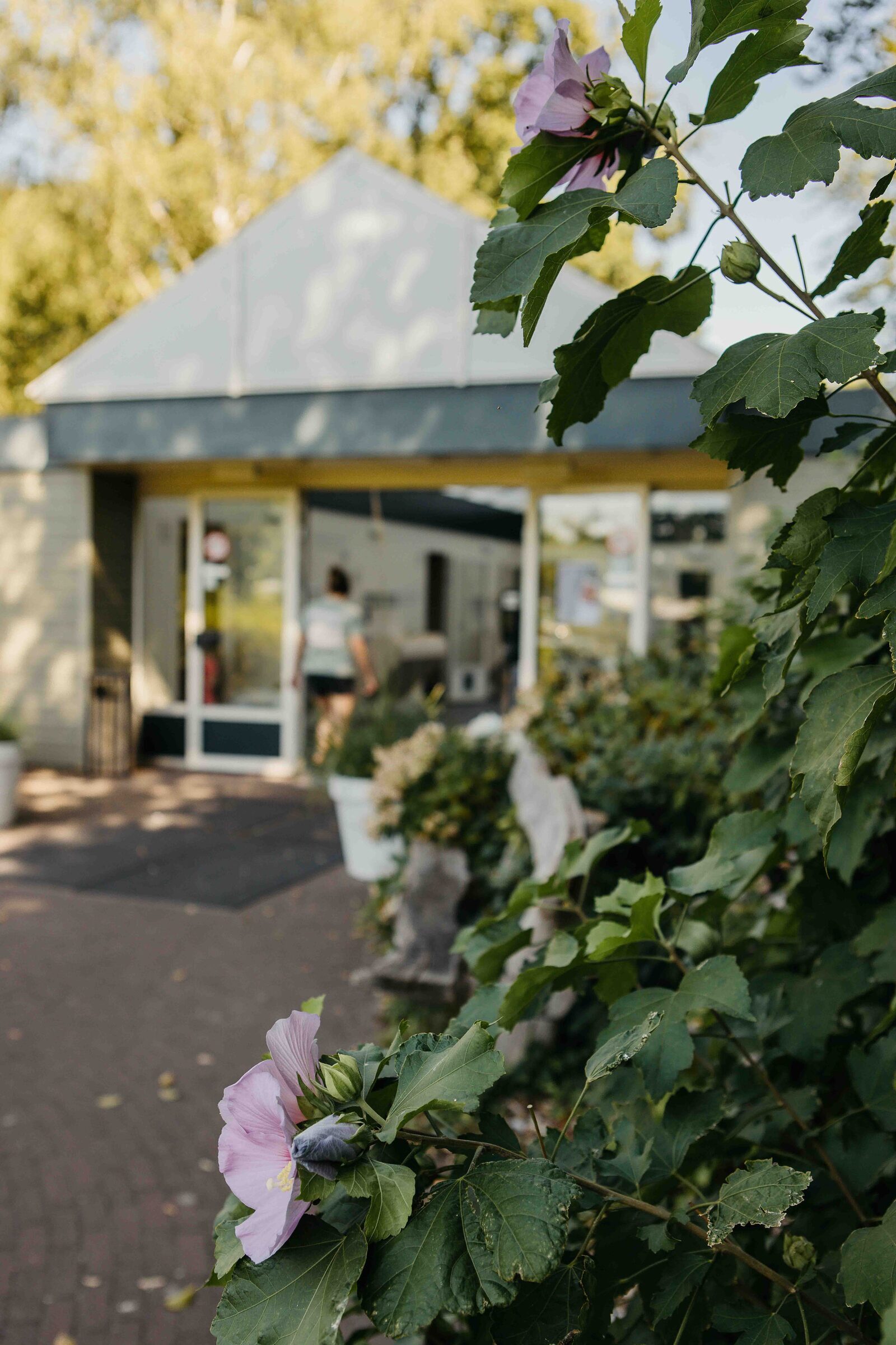 Sanitary camping den blanken
