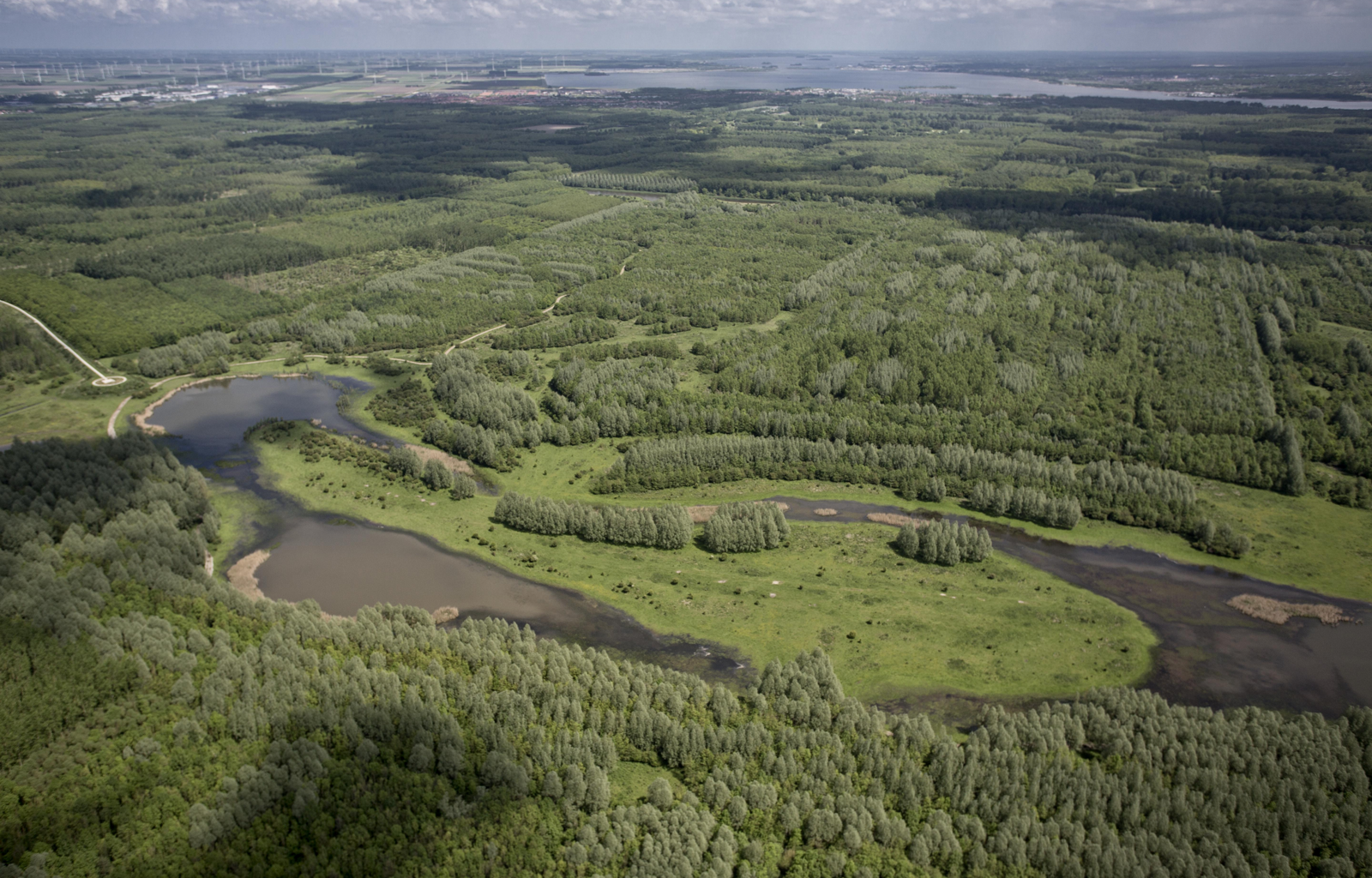 avonturen in de buurt