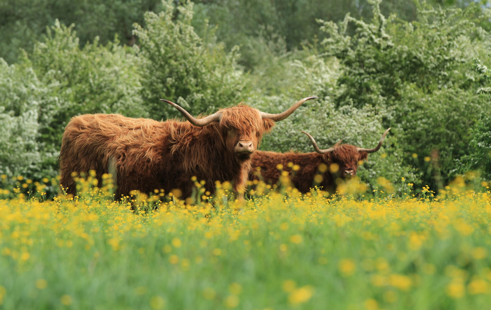andere natuurparken
