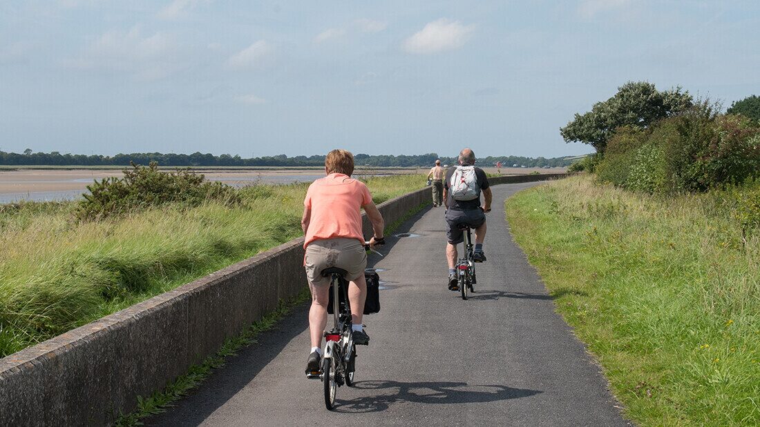 Walking and cycling on the Tarka Trail Cyclists riding along the Tarka Trail in Devon, enjoying a scenic riverside cycling route with greenery and blue skies.