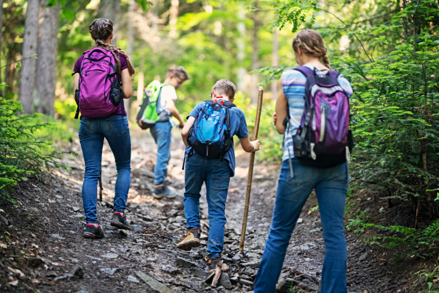 Wandeling duinen Wandeling met het gezin