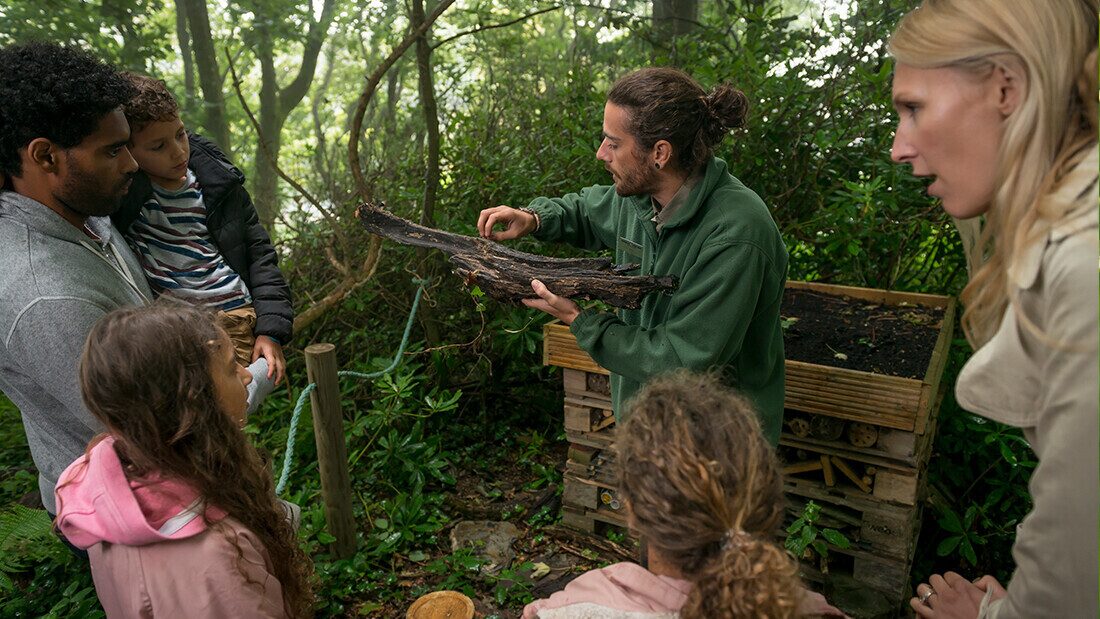 Nature activities at Twitchen House Family learning about woodland insects during a bug hunt activity at Twitchen House Holiday Park in North Devon.
