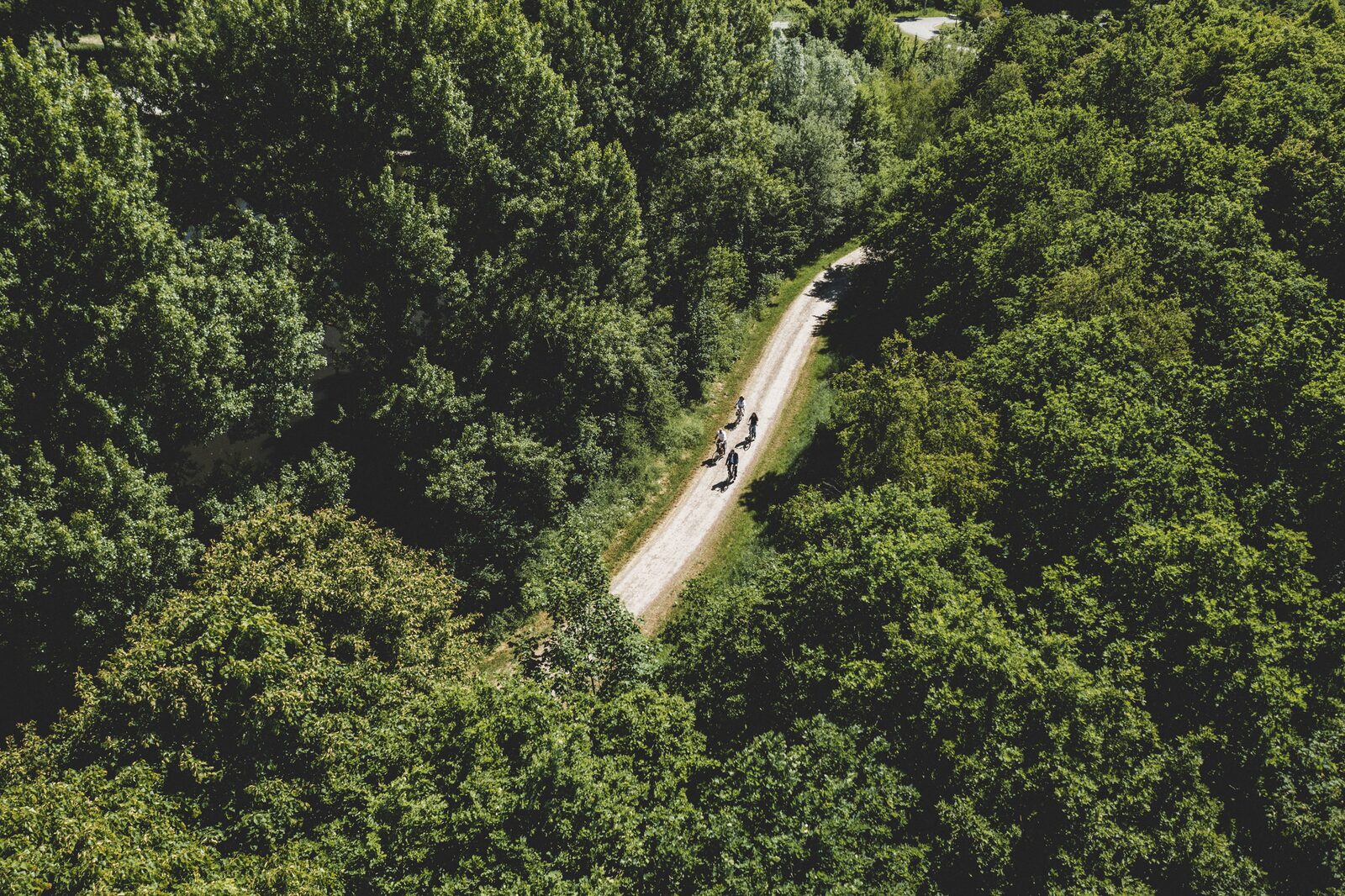 Cycling and hiking