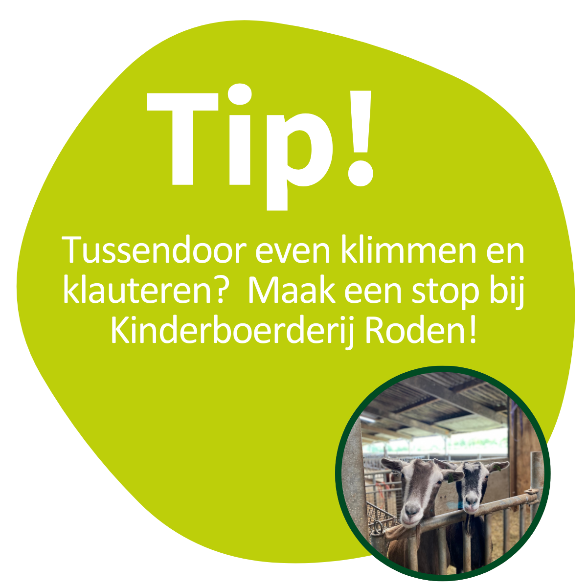 Tip Kinderboerderij Roden