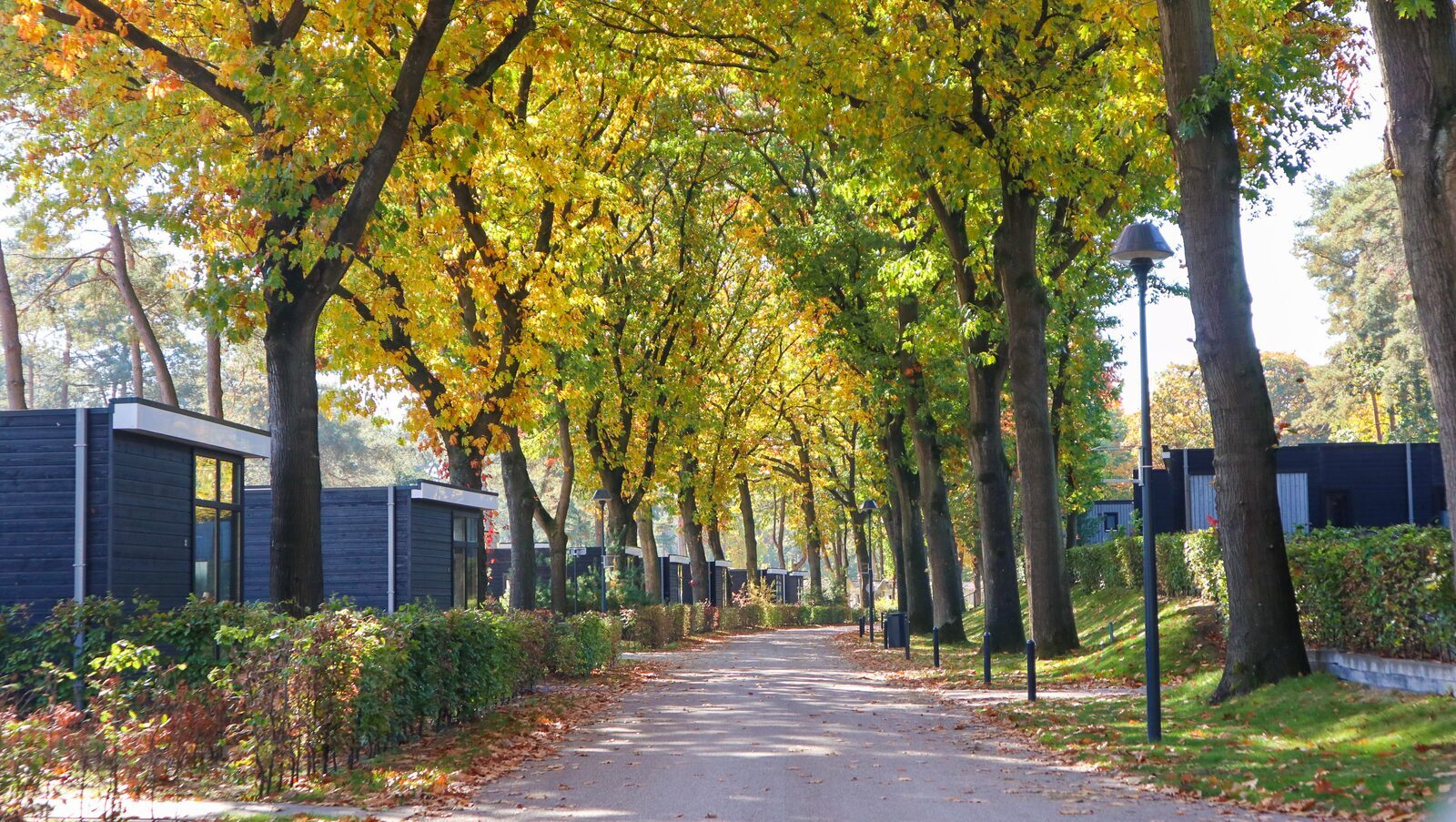 Vakantieparken
