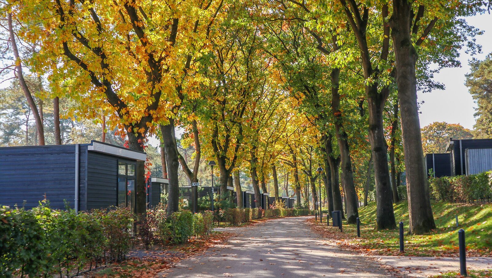 Vakantiepark EuroParcs Markermeer