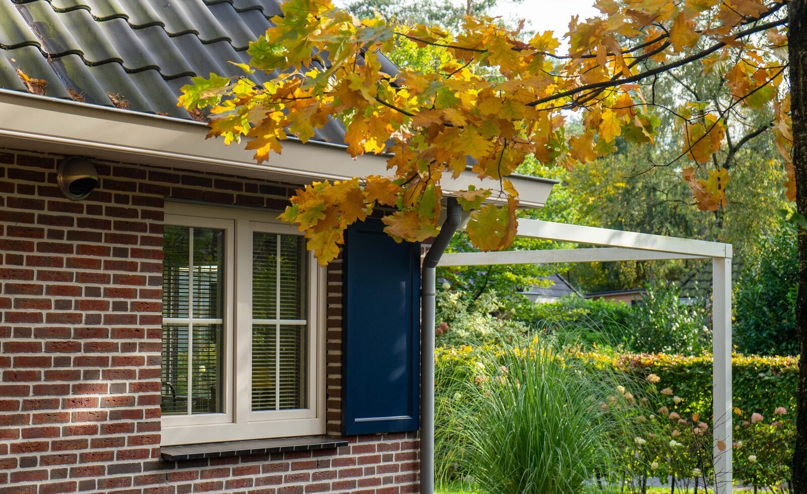 Vakantiepark EuroParcs Zilverstrand