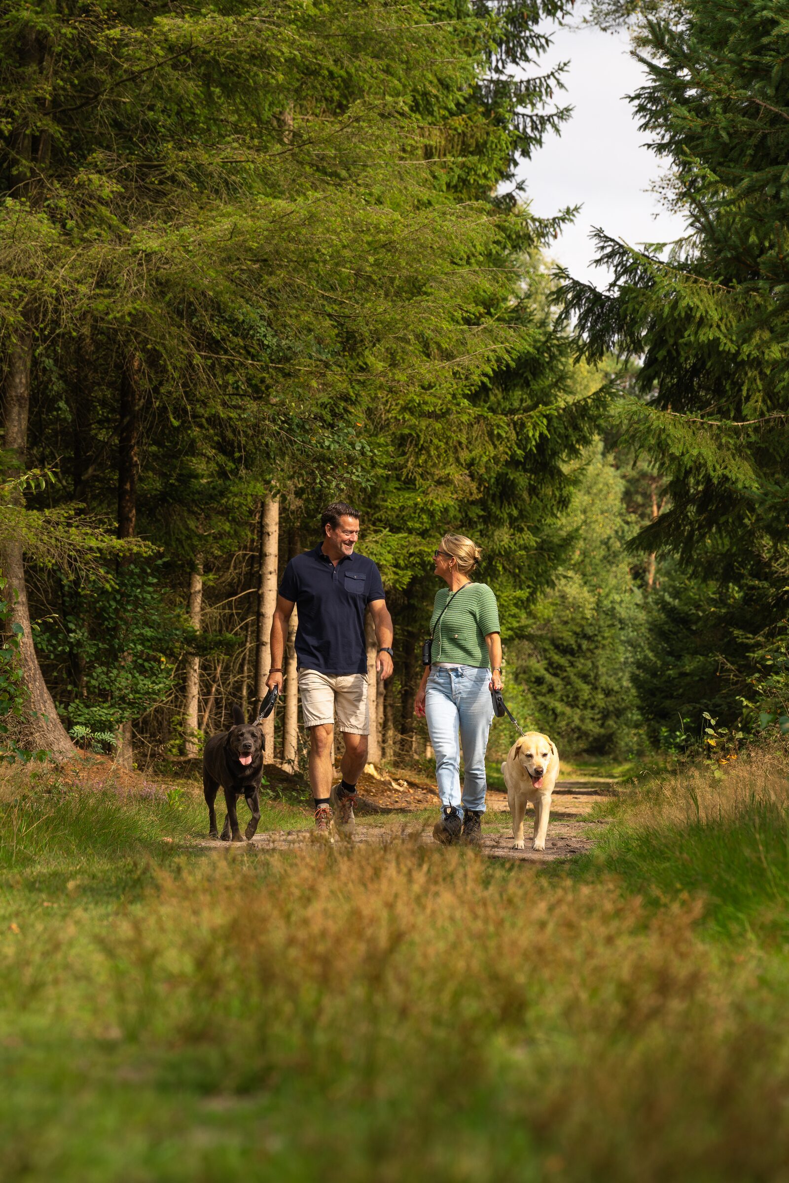 Hondenlosloopgebied Veluwe