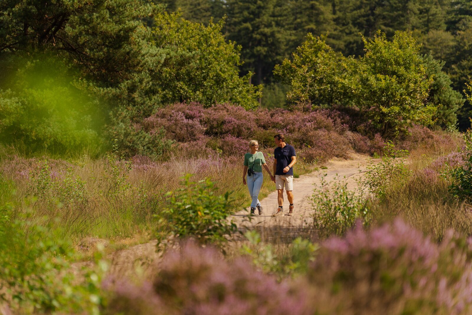 Nationaal Park De Hoge Veluwe