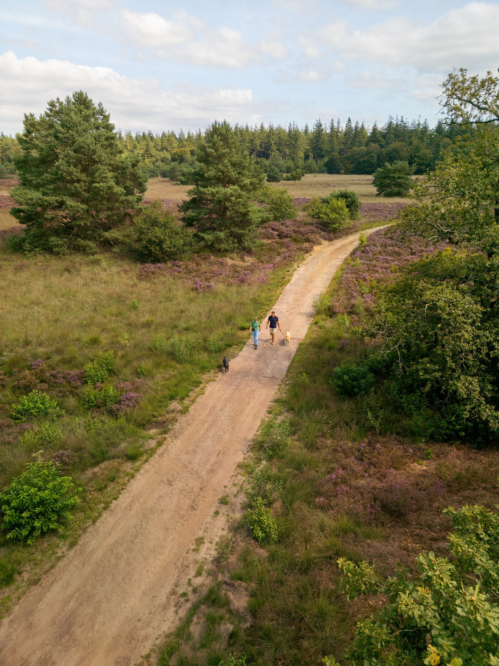 Vakantiepark de IJsvogel