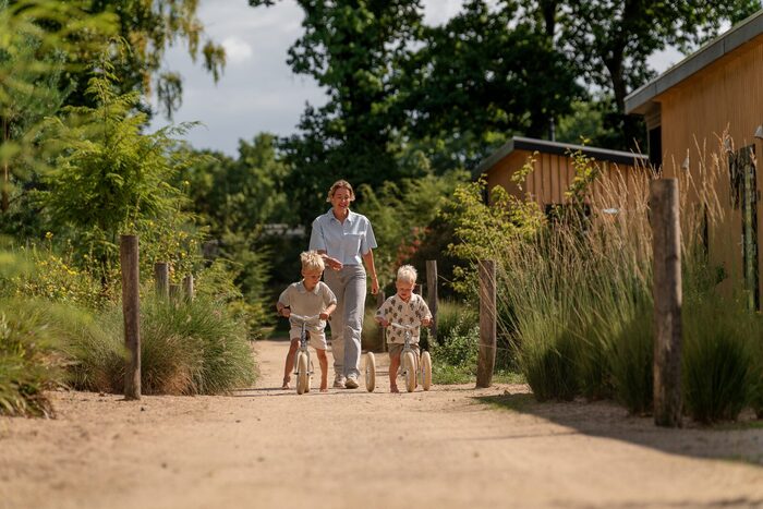 Recreatielandgoed de IJsvogel in Voorthuizen — foto 5