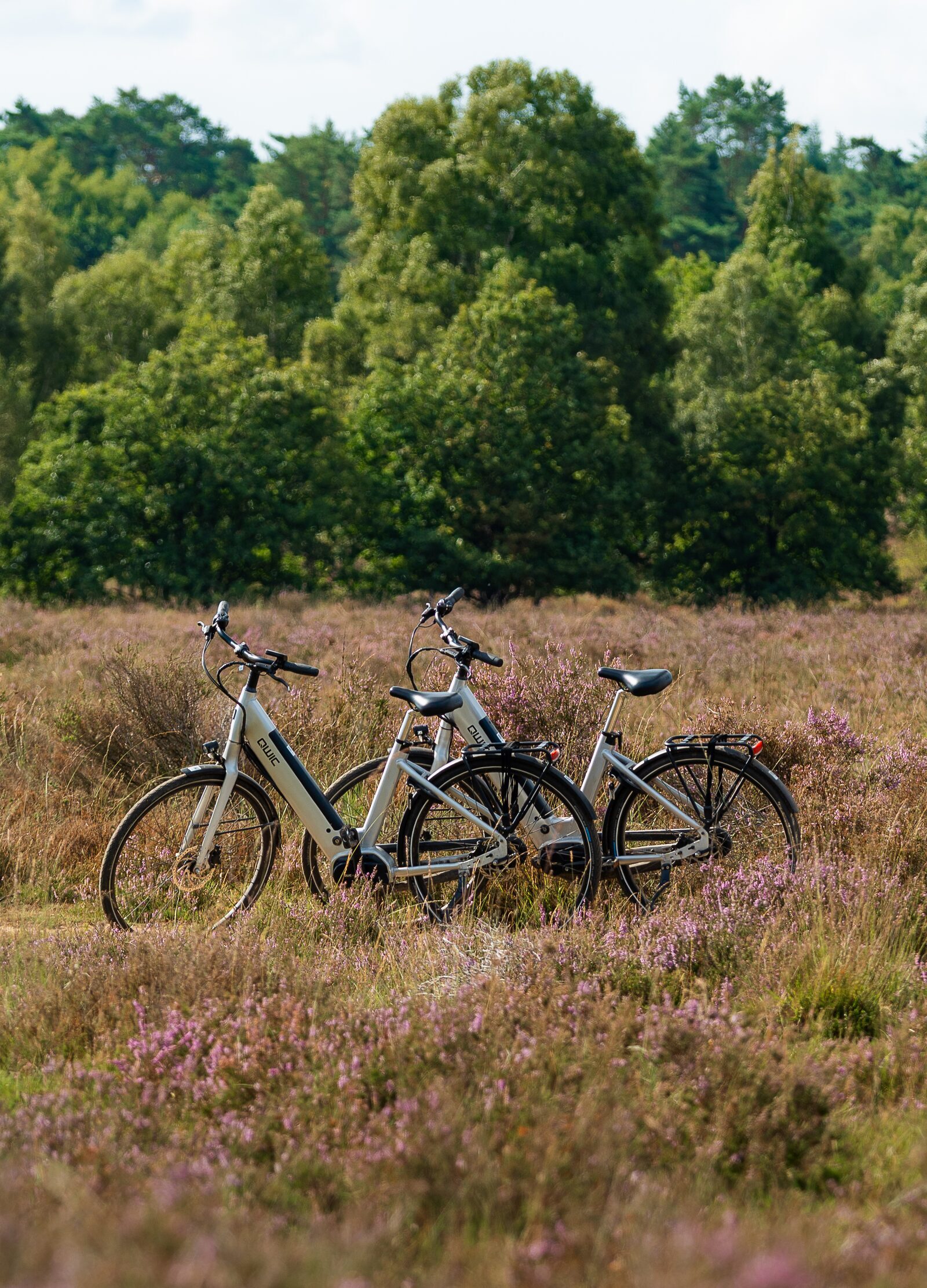 Fietsverhuur