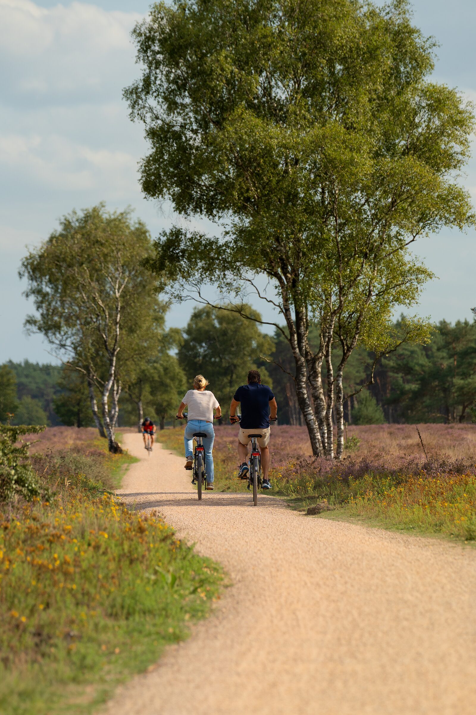 Vakantiepark De IJsvogel