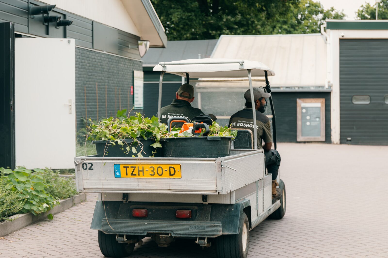 Stage bij TD/Groenvoorziening