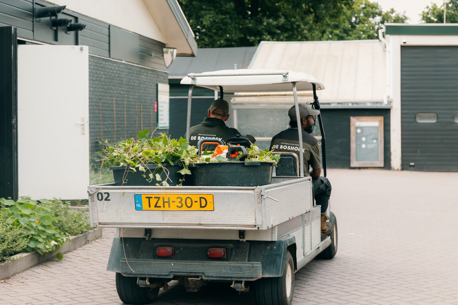 Stage bij TD/Groenvoorziening