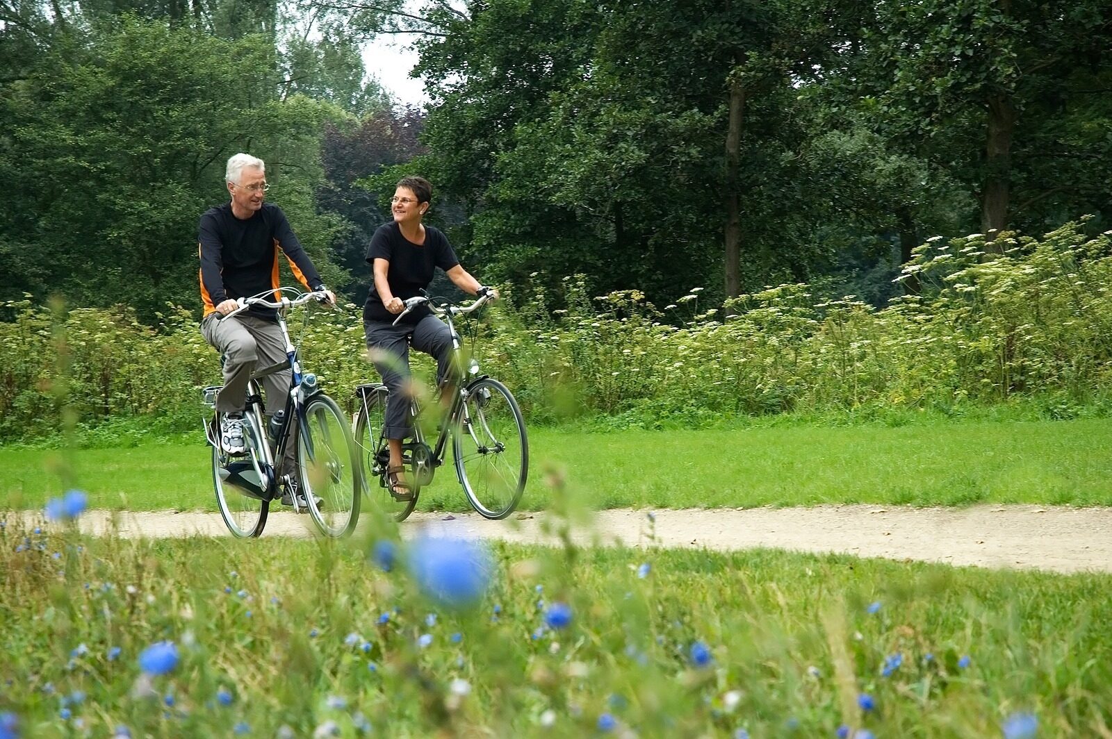Fietsroutes, spring maar op de fiets