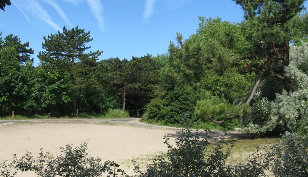 herfstwandeling in De Haan