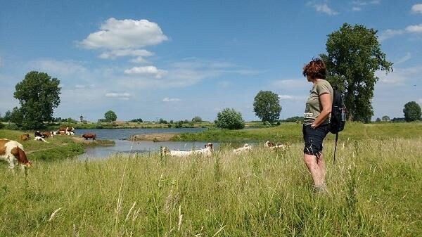 Kijk om u heen... Wandelroutes in de omgeving