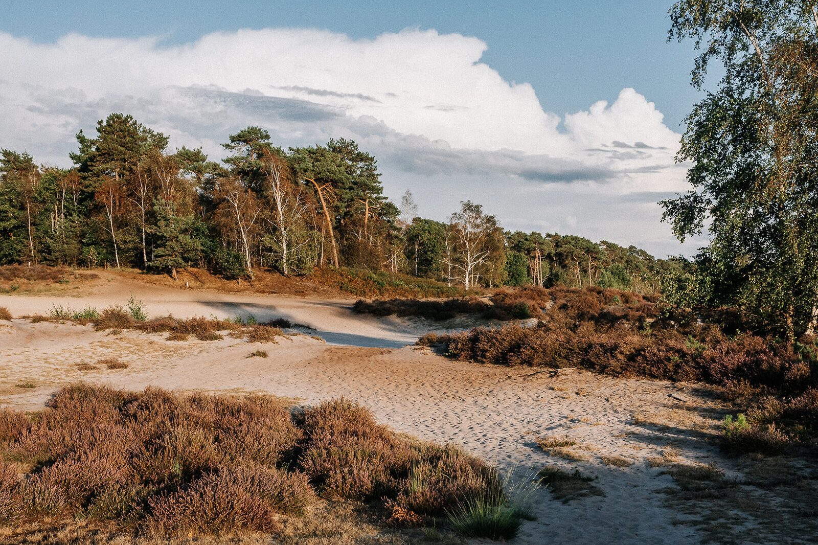 Microavontuur in Limburg