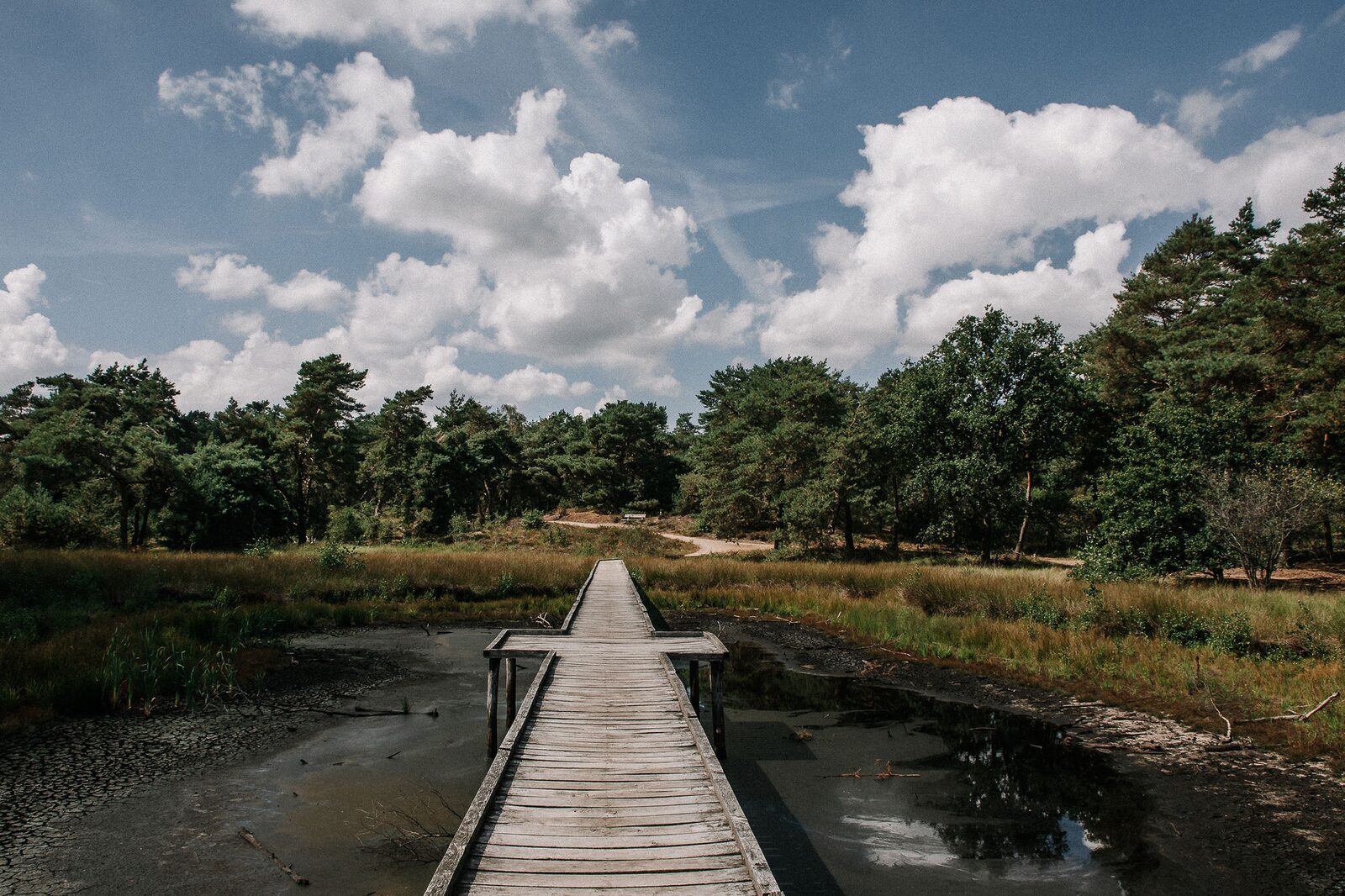 Wandelen