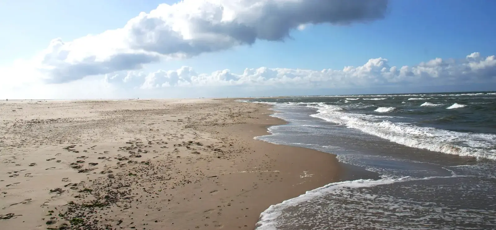 strand op vakantie in callantsoog