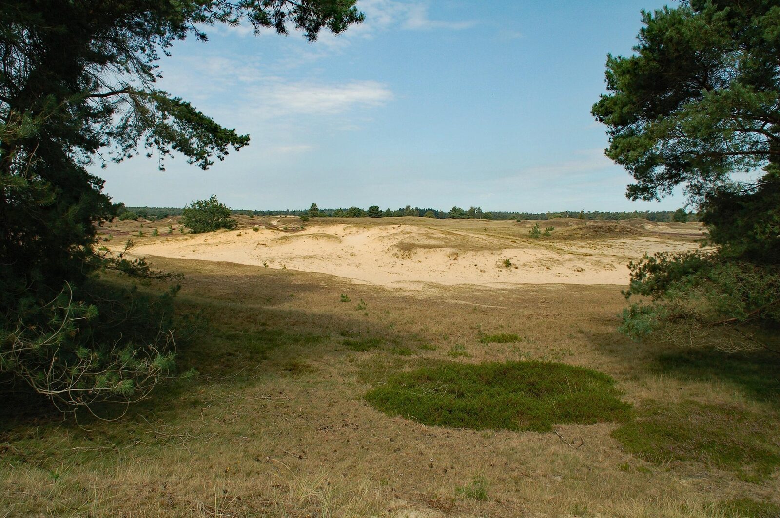 Ferienpark Appelscha