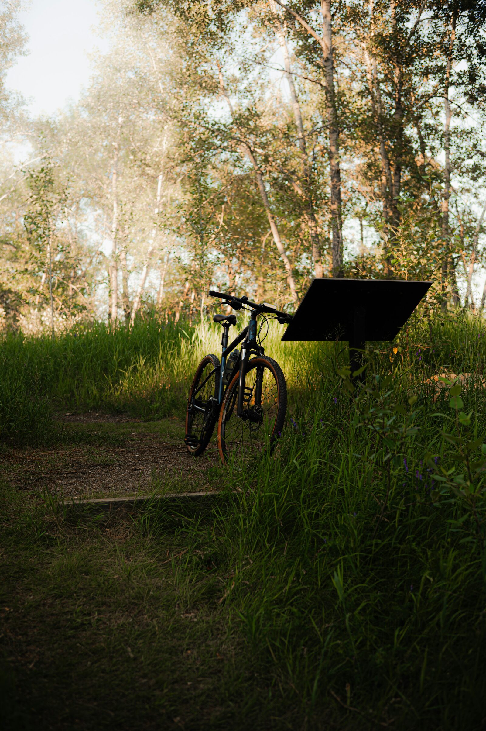 Bike rental