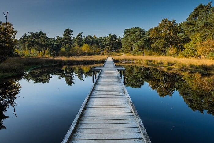 EuroParcs Maasduinen in Belfeld — foto 5