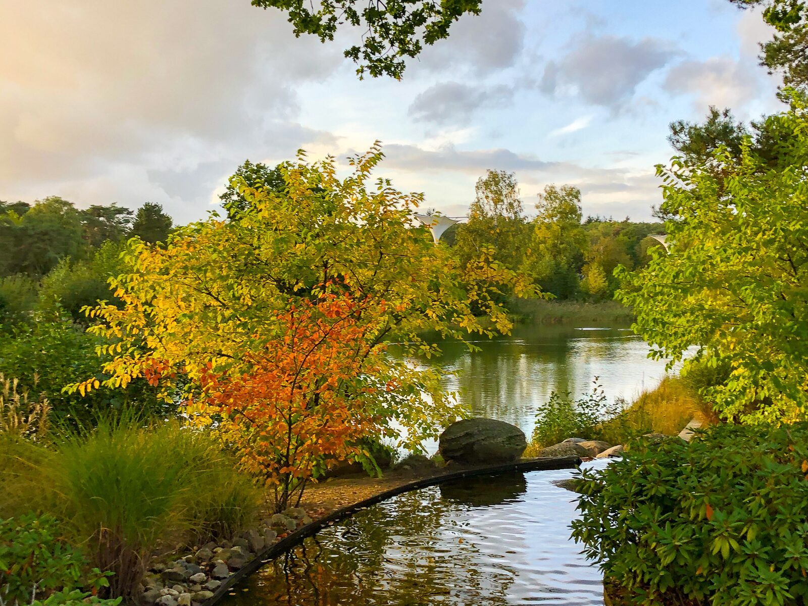 Omgeving Zilverstrand