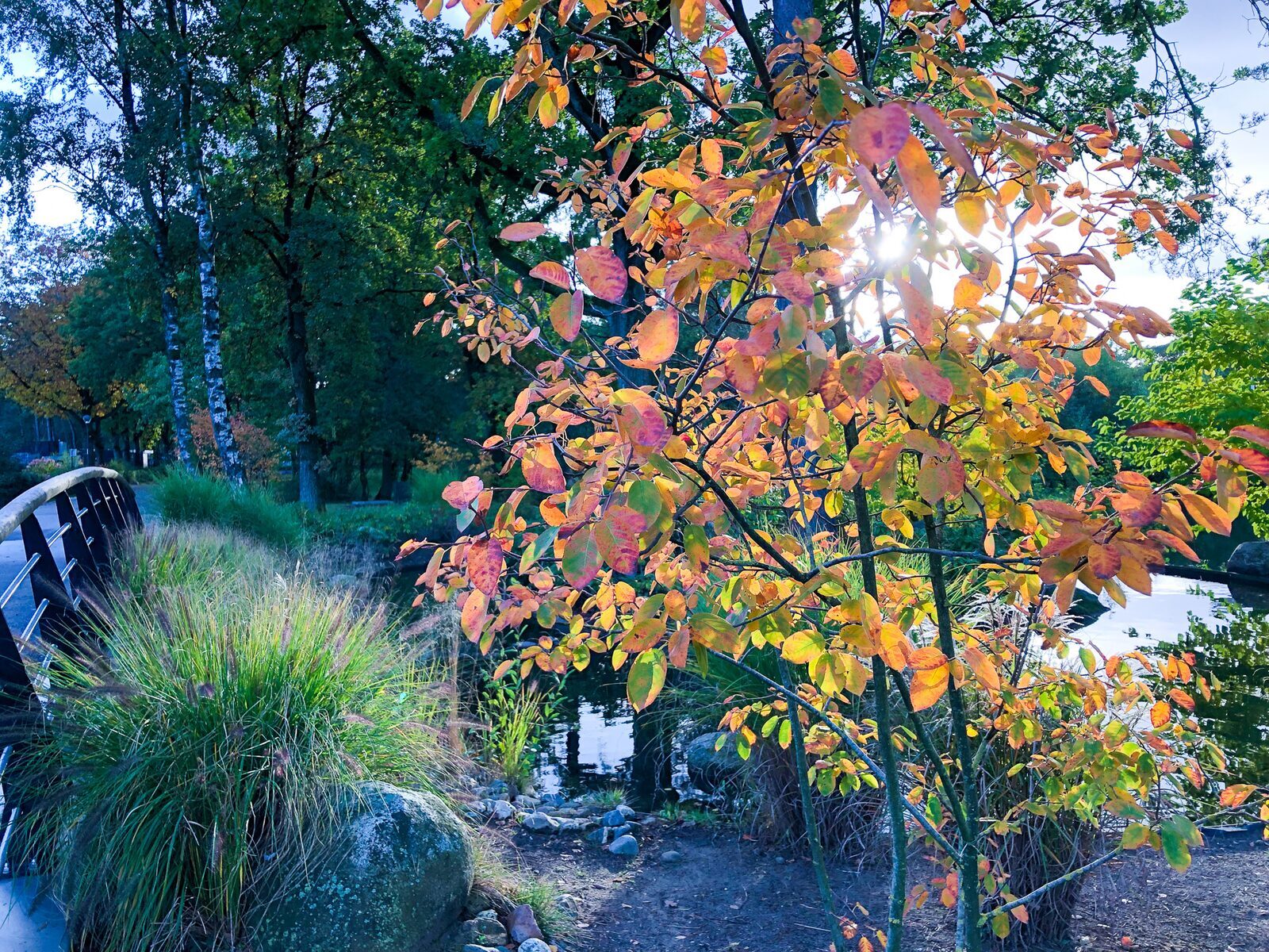 Ferienpark Brunssummerheide