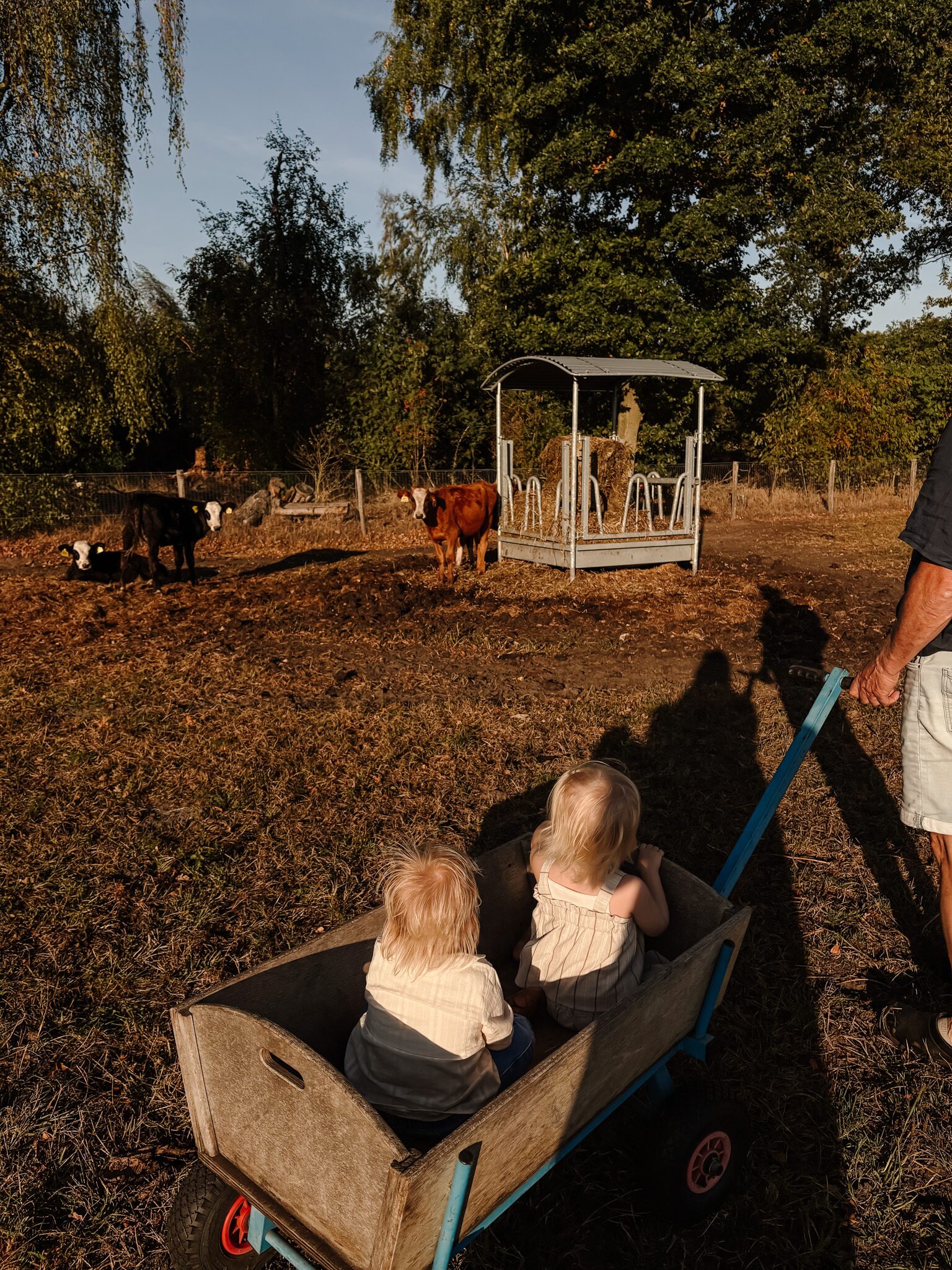 boerderij dieren knuffelen