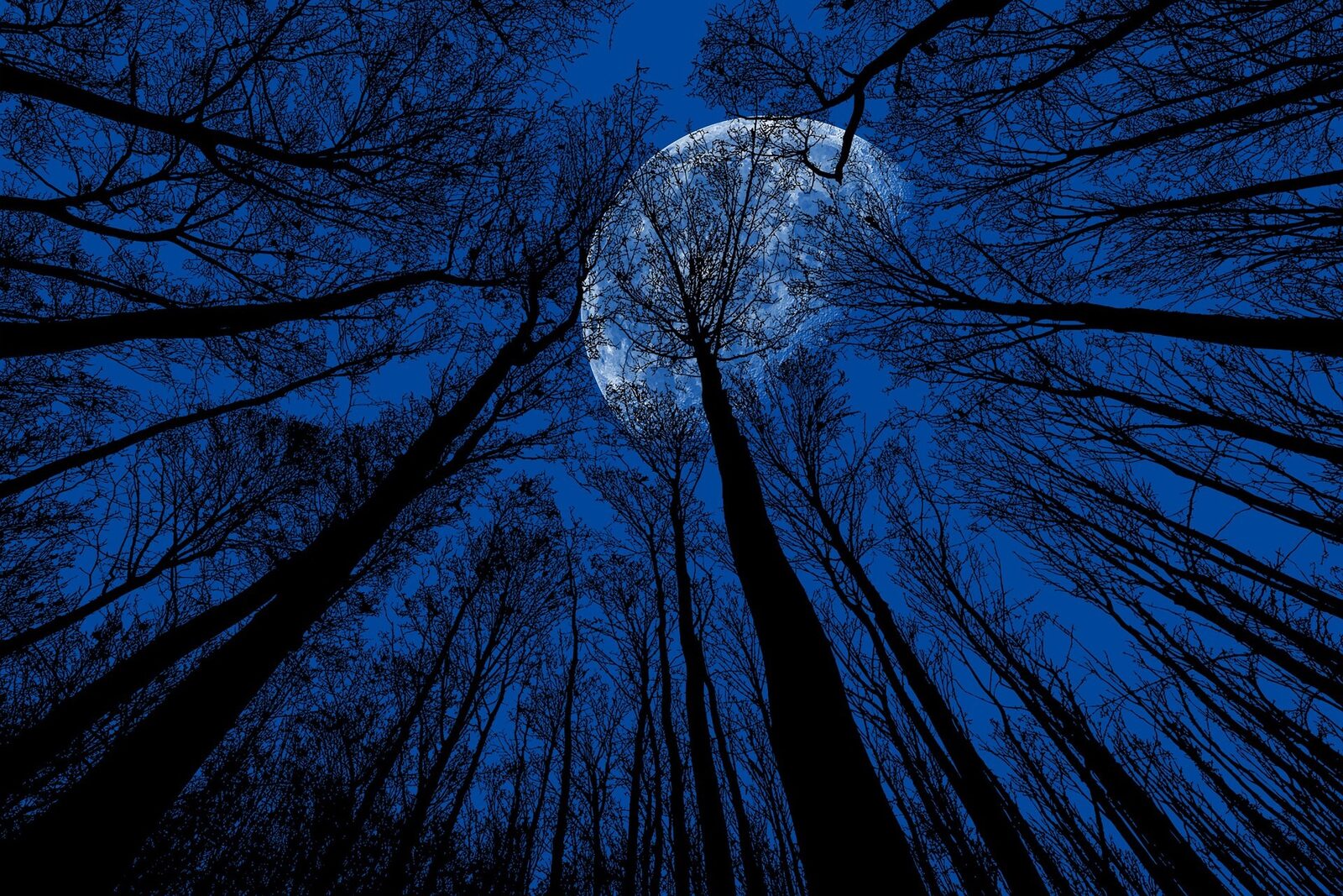 Nacht van de Nacht - Wandelen bij het vallen van de avond