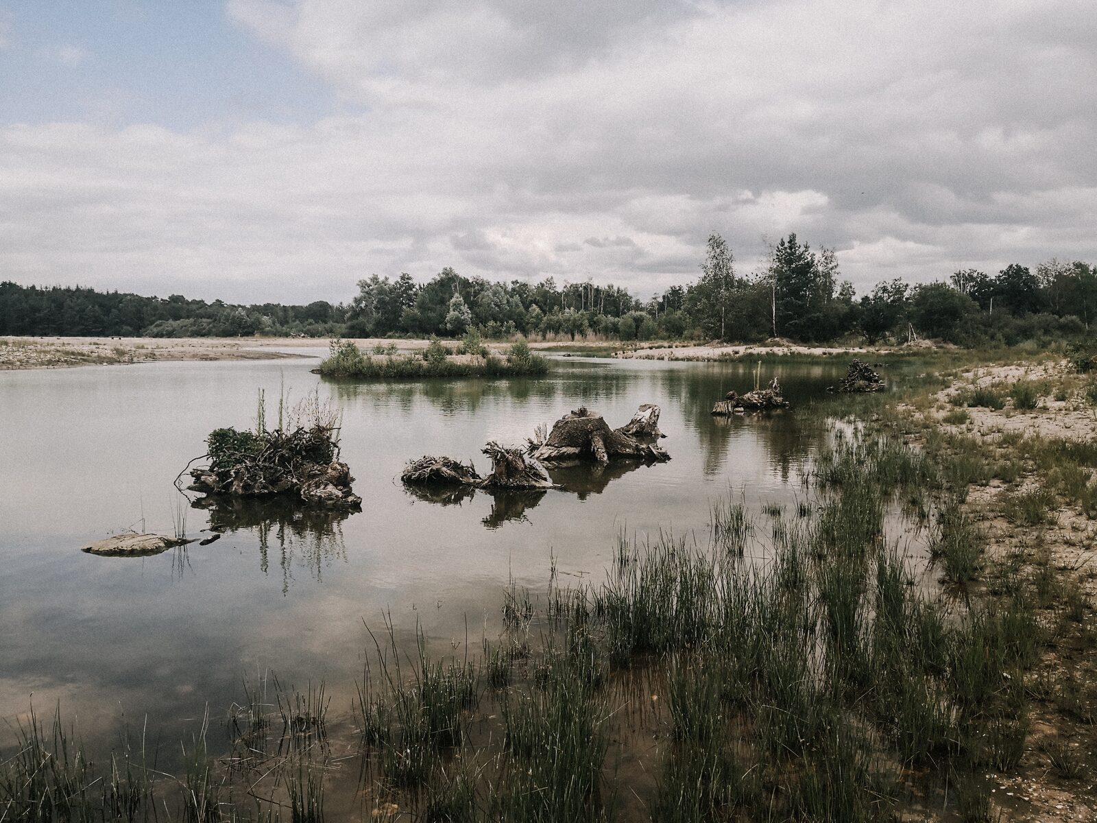 Een e-chopper huren voor een rondje Maasduinen
