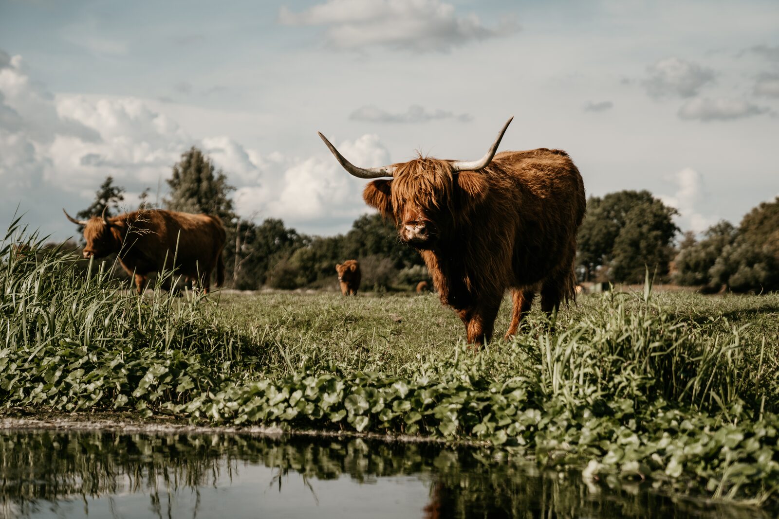 Nationaal Park De Groote Peel