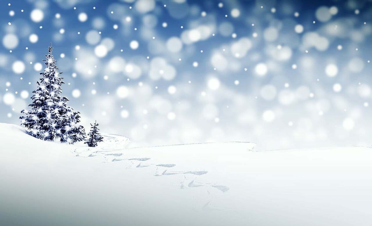 Winter Celebrations Plopsaland De Panne