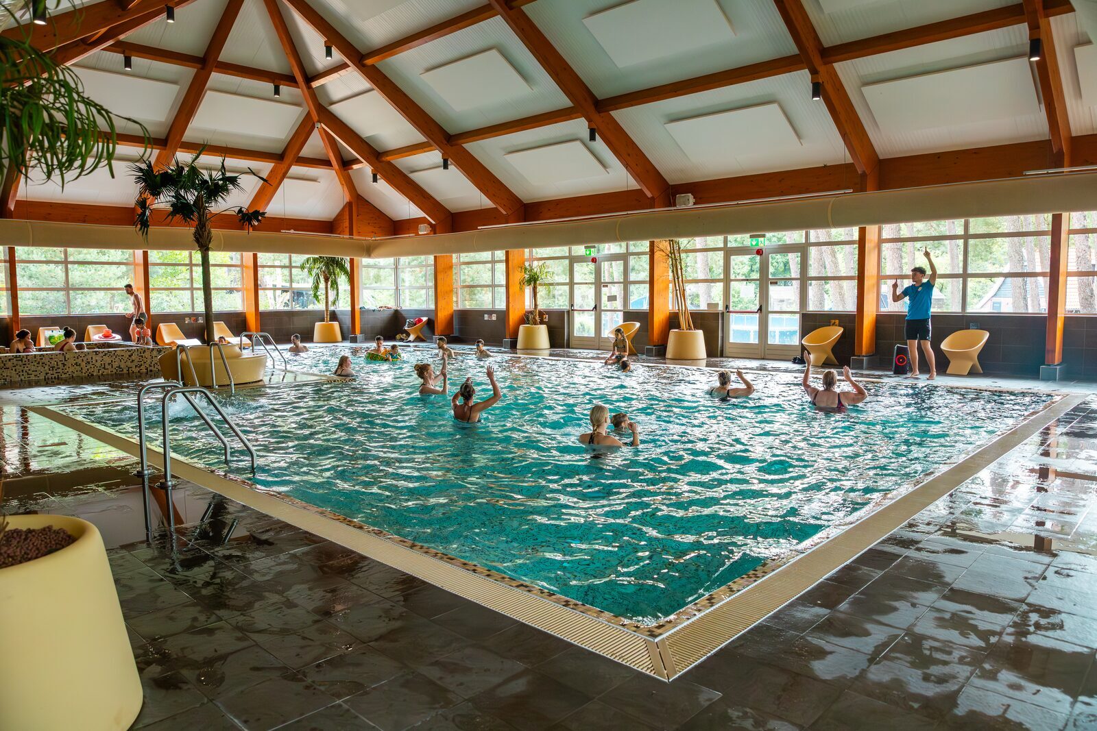 vakantiepark veluwe met zwembad