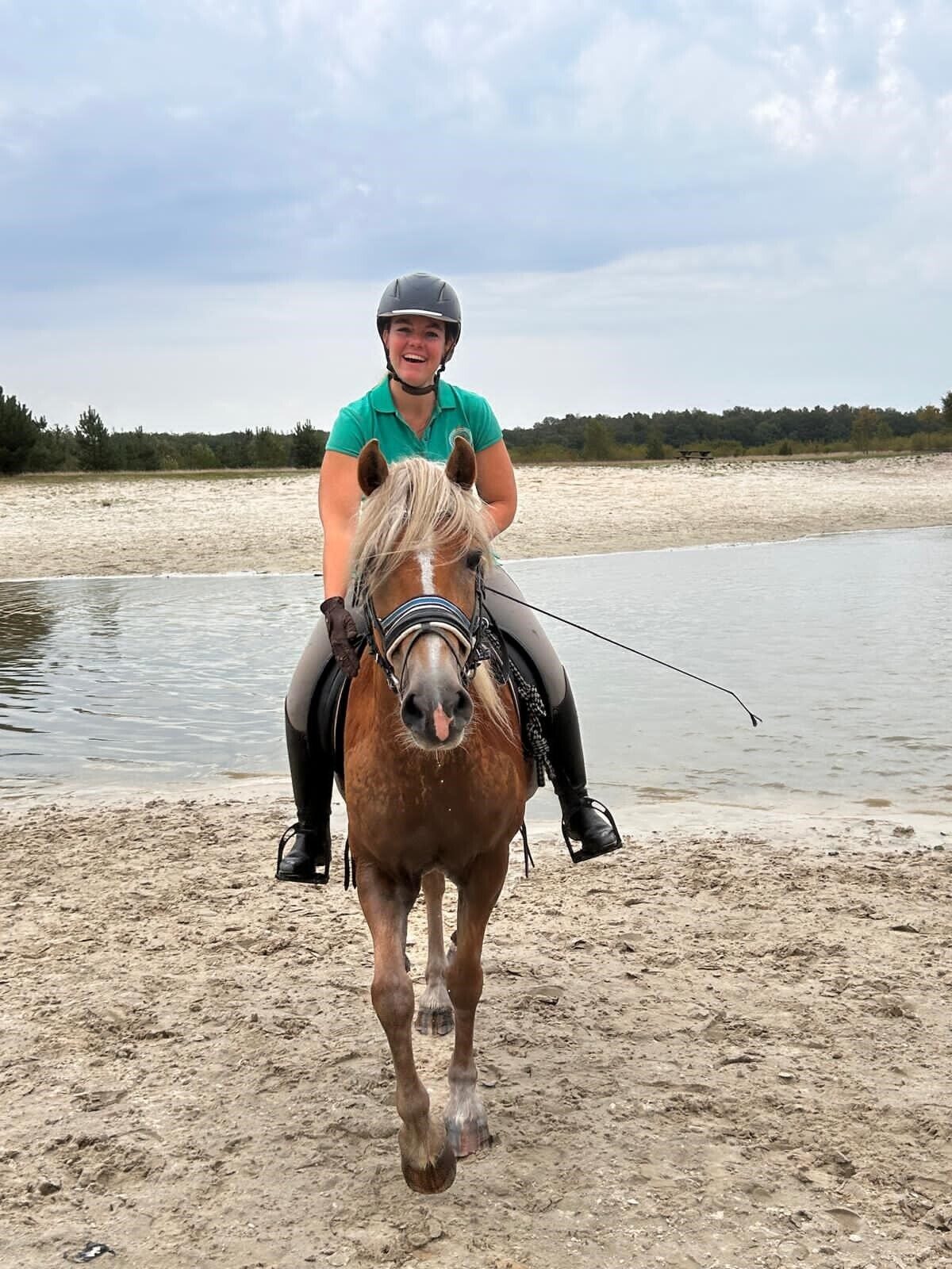 Pferd am Splash Pond