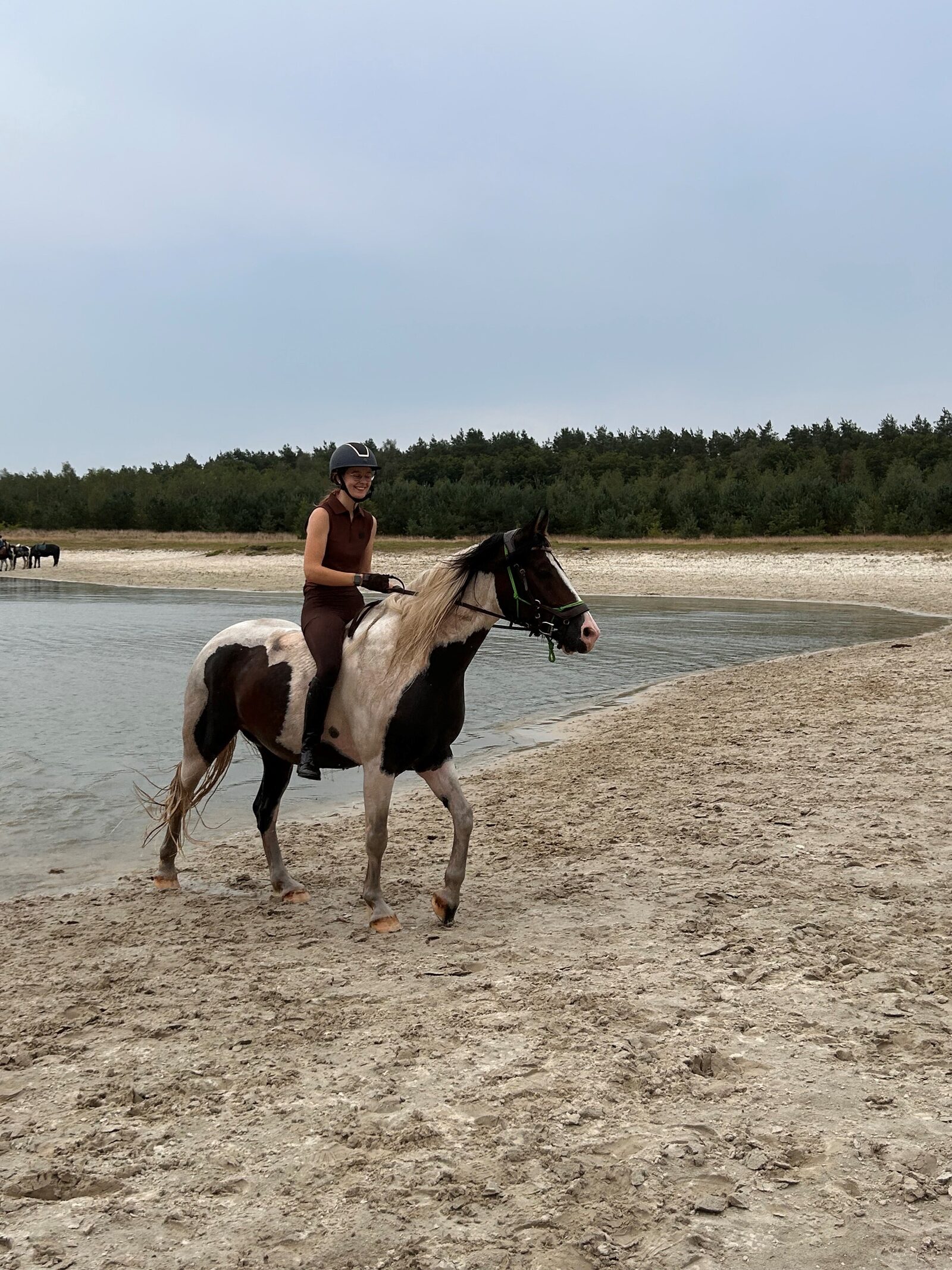 Pferd am Splash Pond