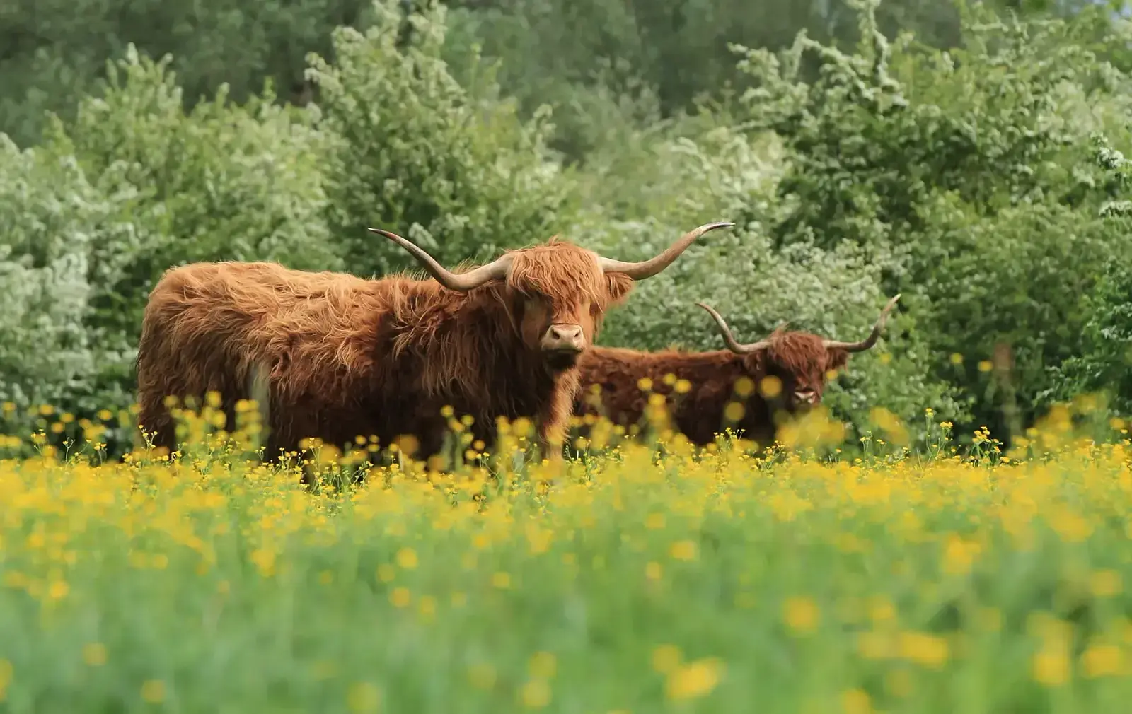 Luxus-Ferienhaus 2 Personen