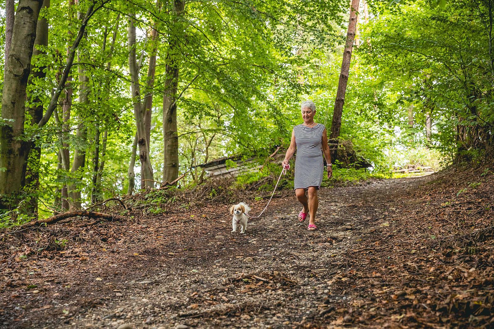 vakantie veluwe met hond