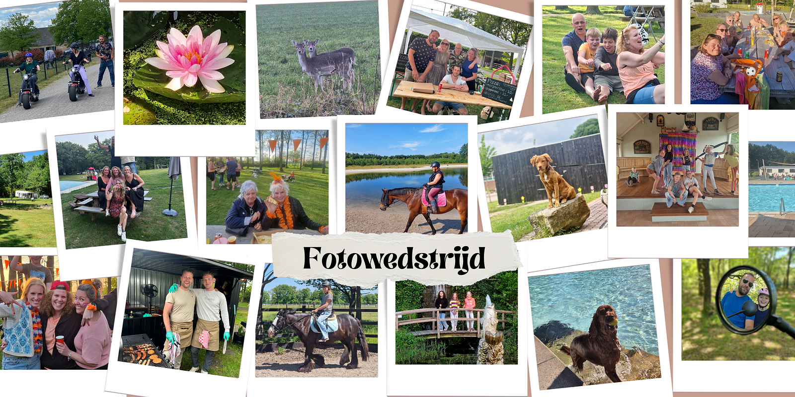 Stem nu op jouw favoriete foto!