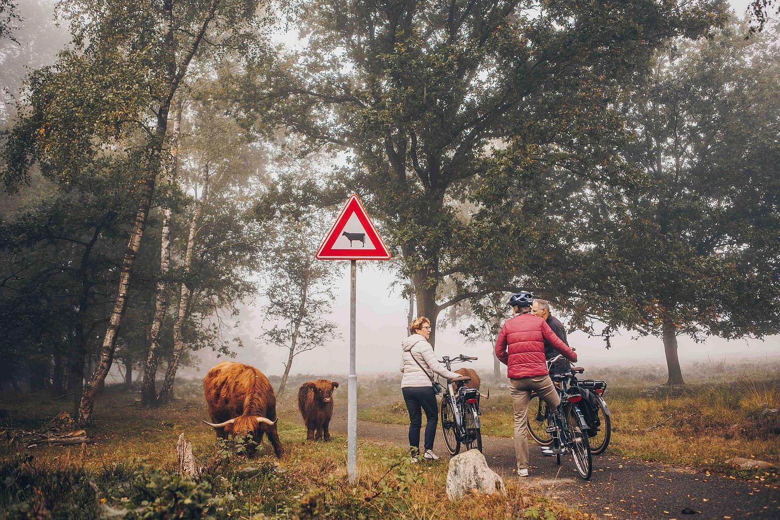 Drenthe